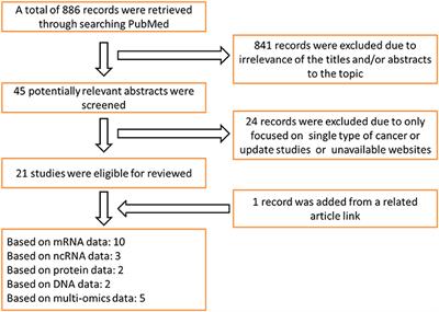 Comprehensive Review of Web Servers and Bioinformatics Tools for Cancer Prognosis Analysis